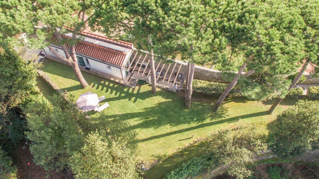 شقة Gardenhouse سارزانا المظهر الخارجي الصورة