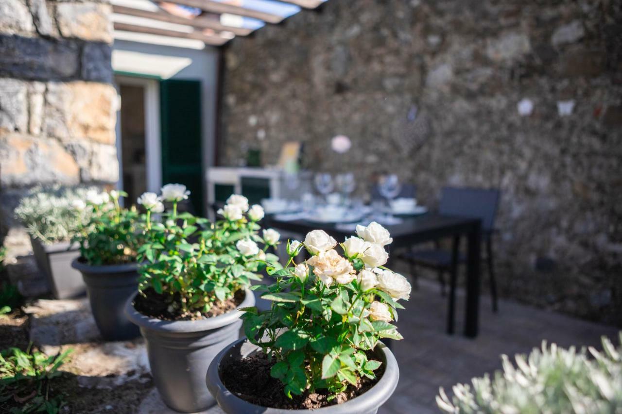 شقة Gardenhouse سارزانا المظهر الخارجي الصورة